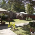 Image 13