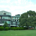 Image 15
