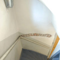 Image 17
