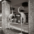 Image 25