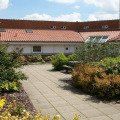 Image 16