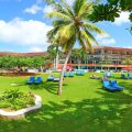 The Palms