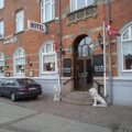 Image 12