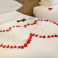 Virgo Hotel Nha Trang