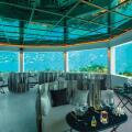 Ozen Life Maadhoo