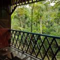 Sepilok Jungle Resort
