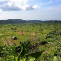 Mimpi Resort Tulamben