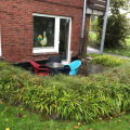 Image 13