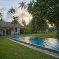 The Frangipani Tree By Edwards Collection