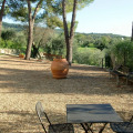 Image 13