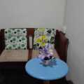 Silver Shine Guesthouse