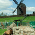 Image 29