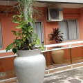 Image 15