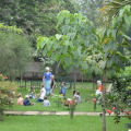 Image 25
