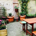 Image 15