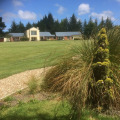 Image 14