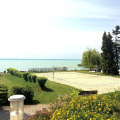Image 11