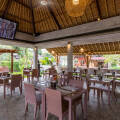 Y Resort Ubud