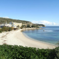 Image 15
