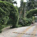 Image 20