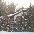 Image 21