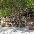 Jw Marriott Maldives Resort & Spa