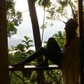Polwaththa Eco Lodges