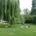 Image 13