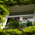 Image 18