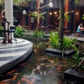 Swiss-Belhotel Rainforest