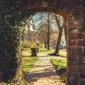 Image 23