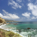Image 15