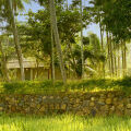 Ivory House