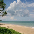 Image 13