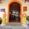 Image 15