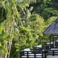 Gaya Island Resort