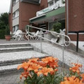 Image 15