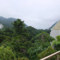 Image 50