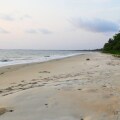 Image 15