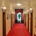 Image 15