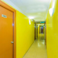 Image 30