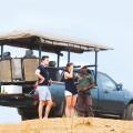 Mahoora Tented Safari Camp - Yala