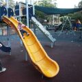 Image 15