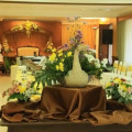 Image 14