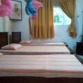 Mccarthy Guesthouse