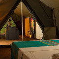 Mahoora Tented Safari Camp - Udawalawe