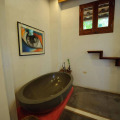 Image 13