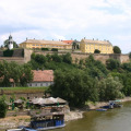 Image 14