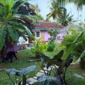 Turtle Eco Beach
