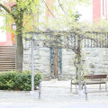 Image 19
